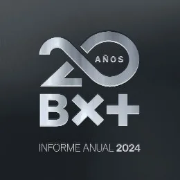 Banner de Informe Anual 2024