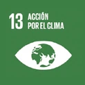 Acción por el clima