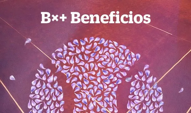 Promo Bx+ Beneficios