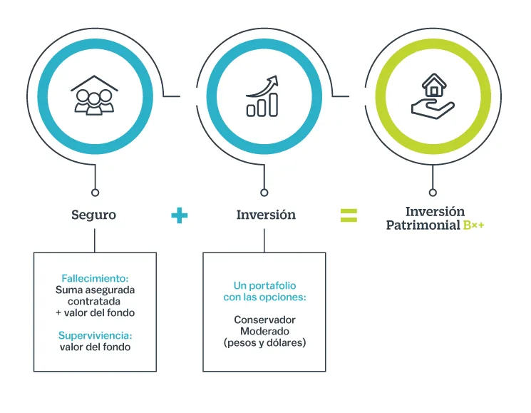 Seguro inv patrimonial | Banco Ve por Más Bx+