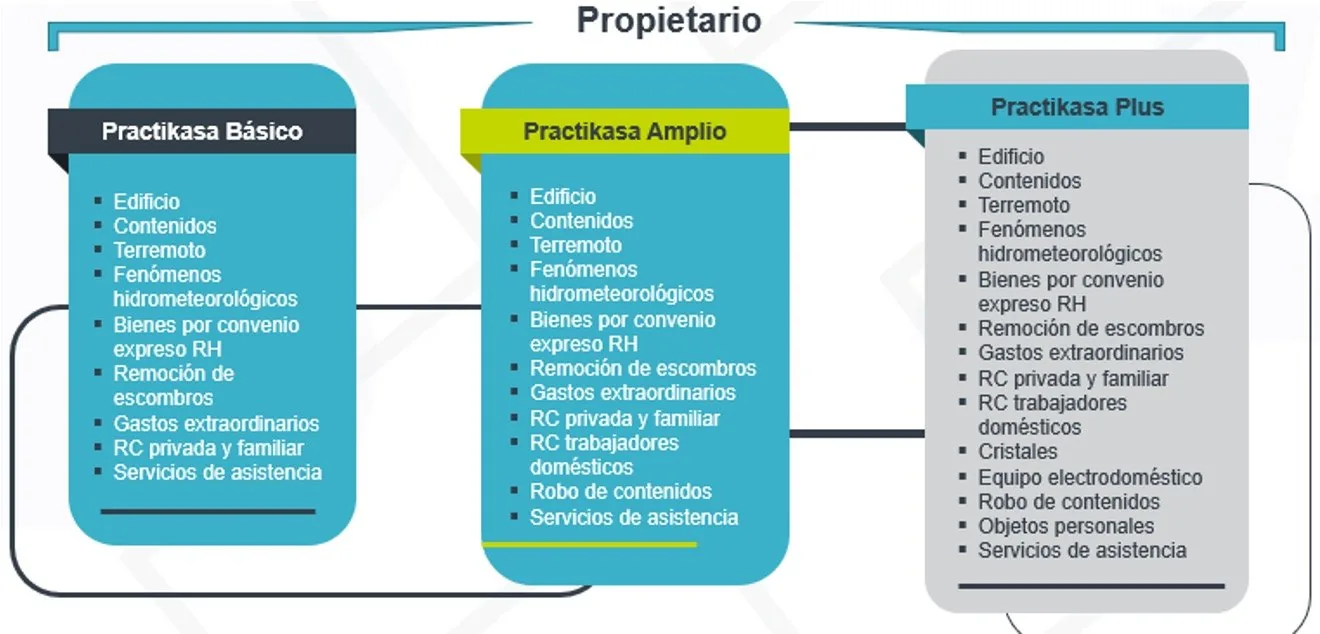 Practikasa 1 | Banco Ve por Más Bx+