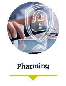 Tips riesgos pharming hov | Banco Ve por Más Bx+